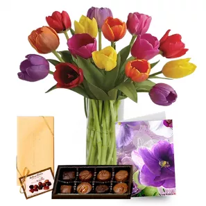 10 Tulip Combo order at Mann Florist