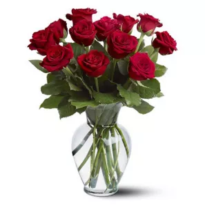 One Dozen Long Stem Red Rose order at Burkitt's Floral