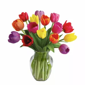 15 Spring Tulips order at Burkitt's Floral