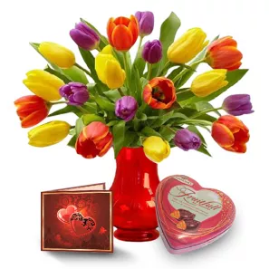 20 Tulip Combo order at Burkitt's Floral