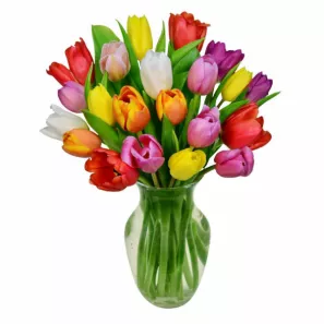 20 Spring Tulips order at Burkitt's Floral