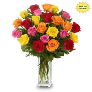 2 Douzaines longues tiges de Roses Mélangées commander à L'oasis Florist Ltd