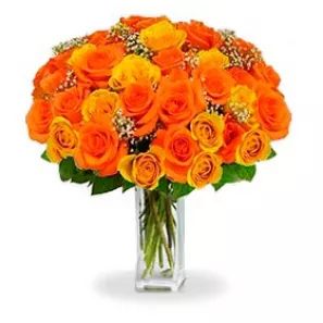 3 Douzaines de Roses Orange commander à L'oasis Florist Ltd
