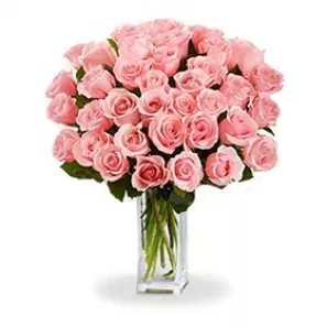 36 Long Stem Pink Roses order at Burkitt's Floral