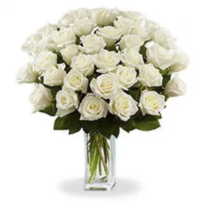 36 Long Stem White Roses order at Burkitt's Floral