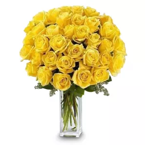 36 Long Stem Yellow Roses order at Burkitt's Floral