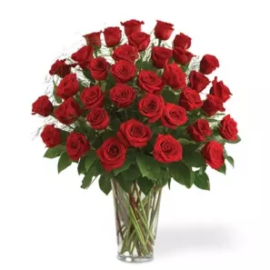 36 Roses rouges à longues tiges commander à L'oasis Florist Ltd