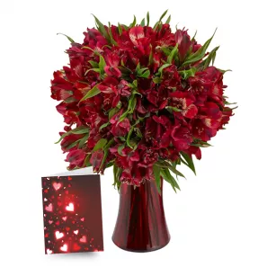 50 Blooms of Valentine Alstroemeria I order at Burkitt's Floral