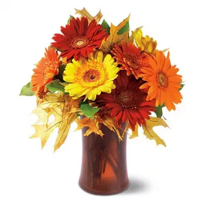 Autumn Gerberas order at Burkitt's Floral