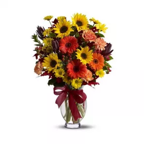Autumn Glory order at Burkitt's Floral