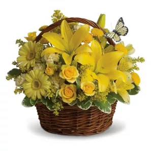 Basket Full of Wishes order at Burkitt's Floral