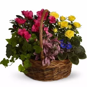 Blooming Garden Basket order at Burkitt's Floral