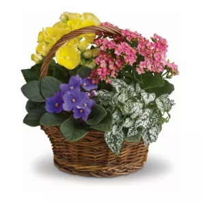 Blooming Planter Basket order at Burkitt's Floral