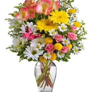 Blooms of Joy order at Burkitt's Floral