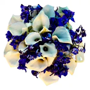 Blue and White Joy order at Burkitt's Floral