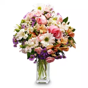 Delicate Delight order at Burkitt's Floral
