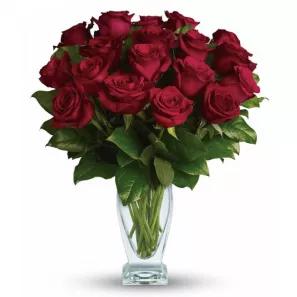 Eighteen Long Stem Red Roses order at Burkitt's Floral