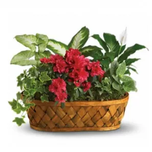 Colourful Garden order at Burkitt's Floral
