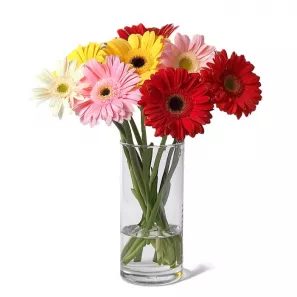 Gerbera Brights order at Burkitt's Floral