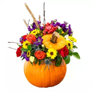 Golden Harvest Pumpkin Arrangement order at Burkitt's Floral
