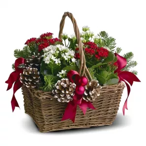 Joyeux Noel Planter Basket order at Burkitt's Floral