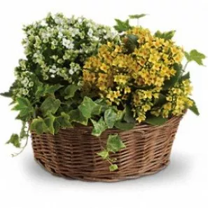 Bountiful Planter Basket order at Burkitt's Floral