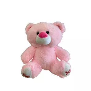Make a Wish Bear order at Burkitt's Floral