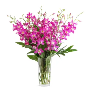 Mother's Day 50 Blooms Of Orchids order at Burkitt's Floral
