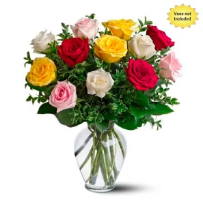 One Dozen Assorted Long Stem Roses order at Burkitt's Floral
