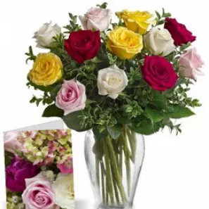 One Dozen Assorted Roses Combo I order at Burkitt's Floral