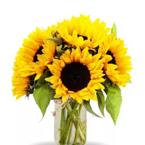 Simply Sunflowers in Mason Jar order at Burkitt's Floral