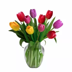 10 Tulipes Multicolores commander à L'oasis Florist Ltd