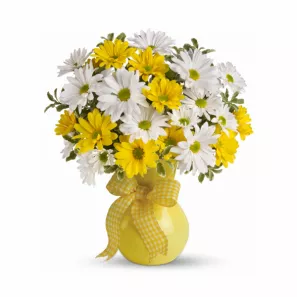 Sunshine Daisies order at Burkitt's Floral