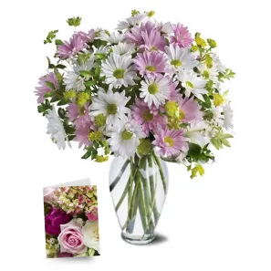 Sweet Blossoms Collection I order at Burkitt's Floral