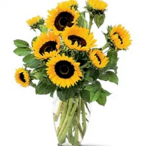 Sunshine Sunflowers order at Burkitt's Floral