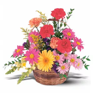 Vibrant Basket order at Burkitt's Floral